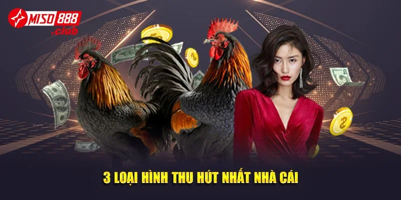 3 loại hình thu hút nhất nhà cái