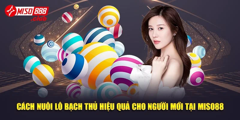 Cách Nuôi Lô Bạch Thủ Hiệu Quả Cho Người Mới Tại Miso88