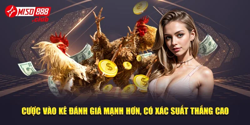 Cược vào kê đánh giá mạnh hơn, có xác suất thắng cao