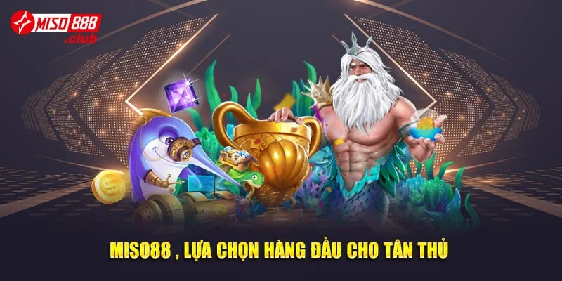 Miso88 , lựa chọn hàng đầu cho tân thủ