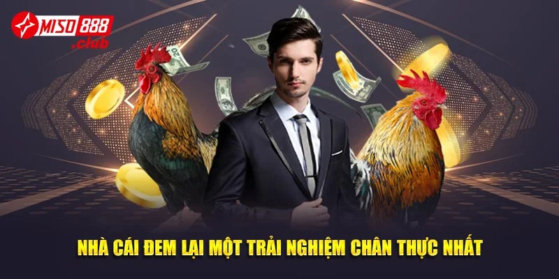 Nhà cái đem lại một trải nghiệm chân thực nhất