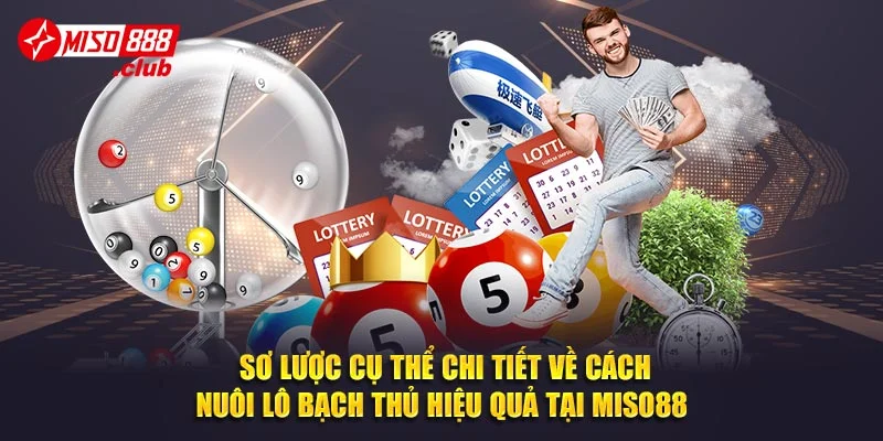 Sơ lược cụ thể chi tiết về cách nuôi lô bạch thủ hiệu quả tại miso88