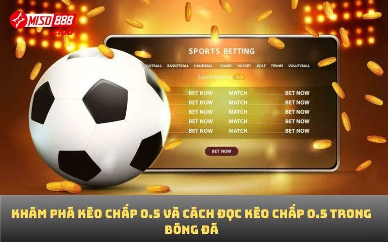 Khám phá kèo chấp 0.5 và cách đọc kèo chấp 0.5 trong bóng đá