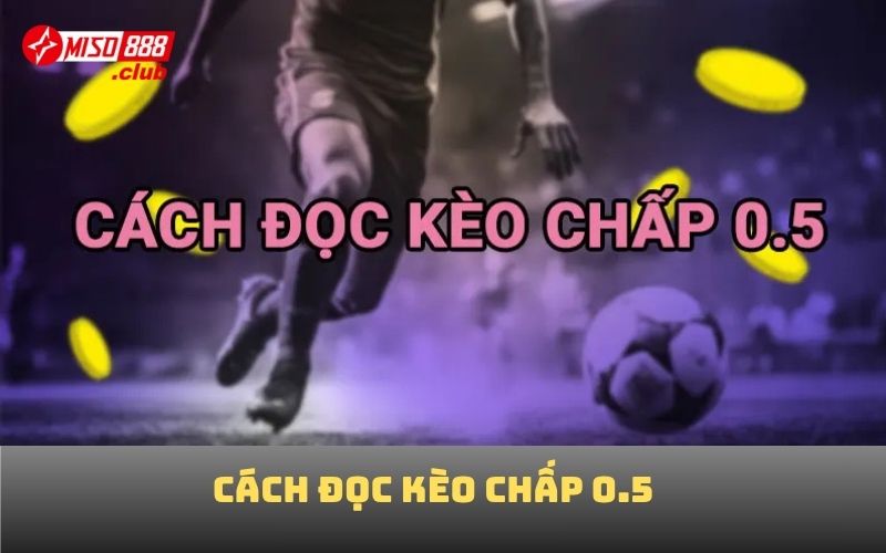 Cách đọc kèo chấp 0.5