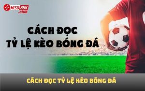 cách đọc tỷ lệ kèo bóng đá