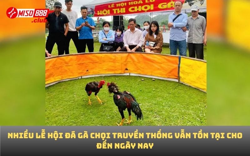 Nhiều lễ hội đá gà chọi truyền thống vẫn tồn tại cho đến ngày nay